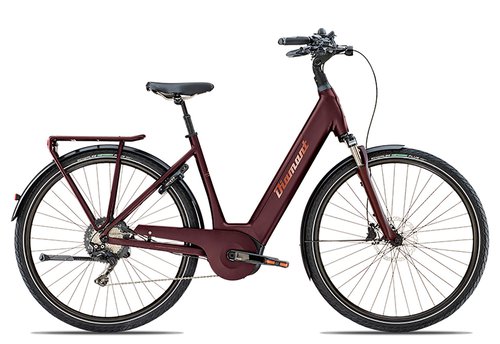 Diamant Zagora Deluxe+ Wave 2019 | 45 cm | Rauchtopas