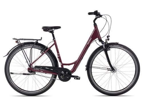 Raleigh CHESTER 7 R Wave 2022 | Cityräder