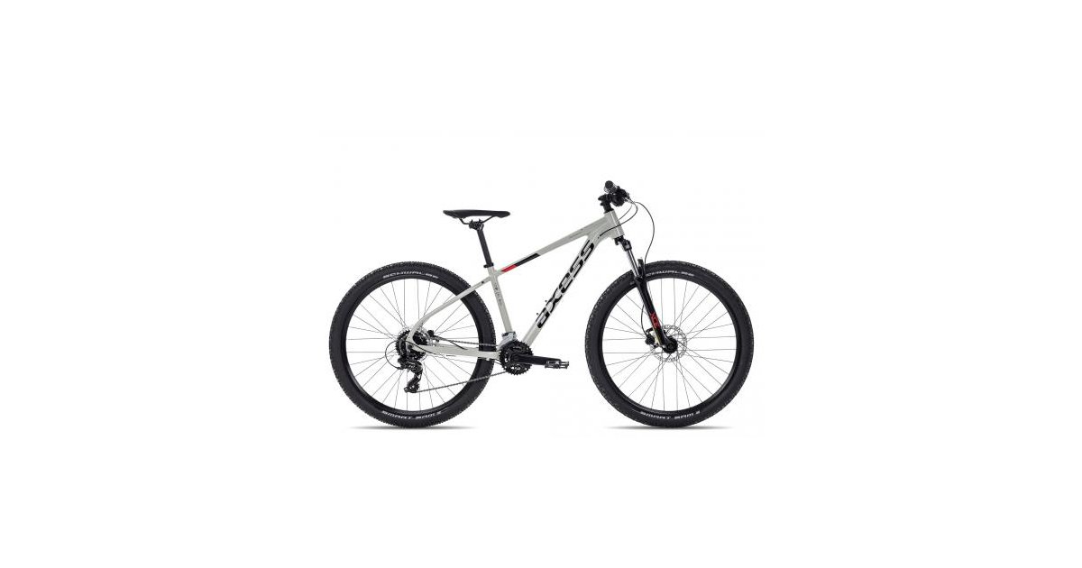 Axess BRASH 2023 grey 18 Zoll HardtailMountainbikes