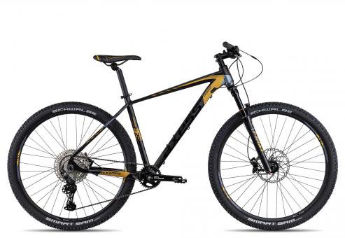 Axess PRIDE  satinblack gold grey  23 Zoll  Hardtail-Mountainbikes