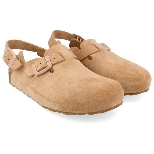 Haflinger Faro