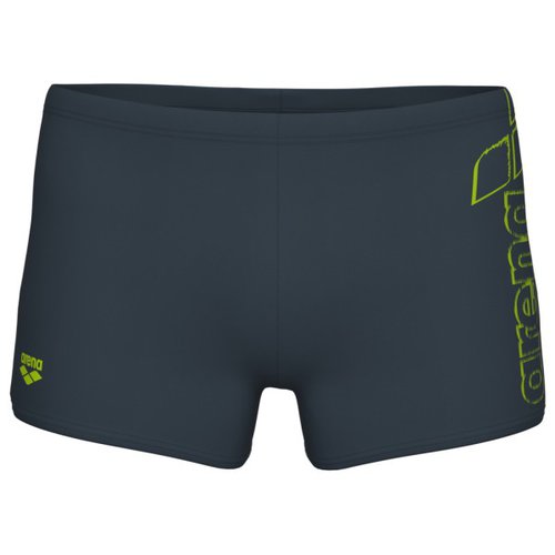 Arena Scratchy Swim Short