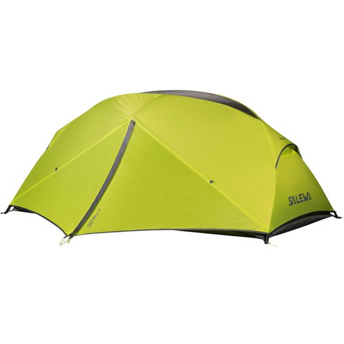 Salewa Denali 4 Cactus/Grey