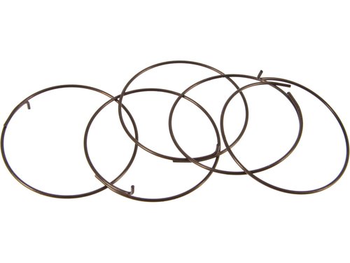 Fulcrum Sperrklinkenfedern 5-R1-015 für RR Freilaufkörper
