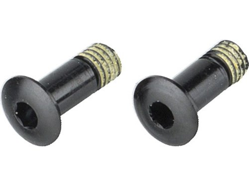 Campagnolo Befestigungsschrauben für Schalträdchen Super Record ab Modell 2011