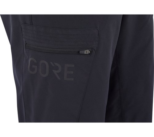 Gore Wear Passion Shorts
