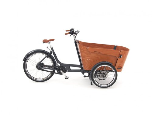 Babboe Carve Mountain 500 Wh schwarz