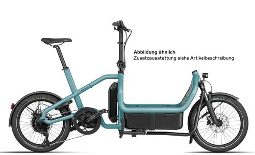 Riese und Müller Carrie touring - 20 Zoll 725Wh 10K Lastenrad - Aqua - 2024