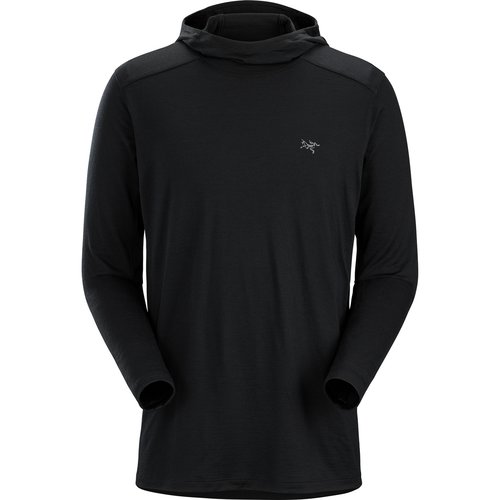 Arcteryx Herren Ionia Hoodie