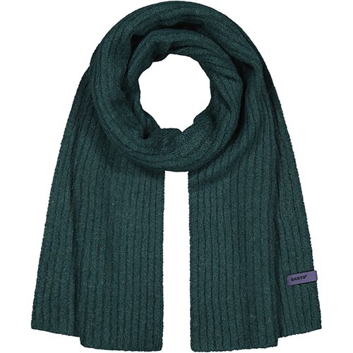 Barts Herren Banxs Schal