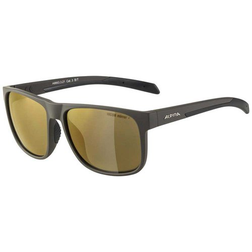 Alpina Nacan Iii Hm Mirrored Polarized Sunglasses Grau Hicon Gold MirrorCAT3