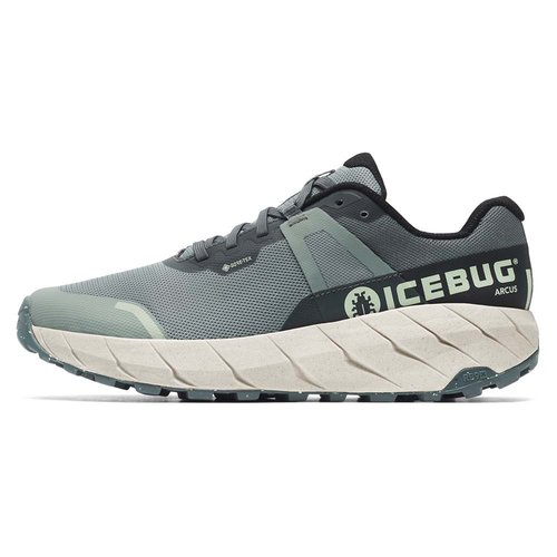 Icebug Arcus Rb9x Goretex Trail Running Shoes Grün EU 42 Mann