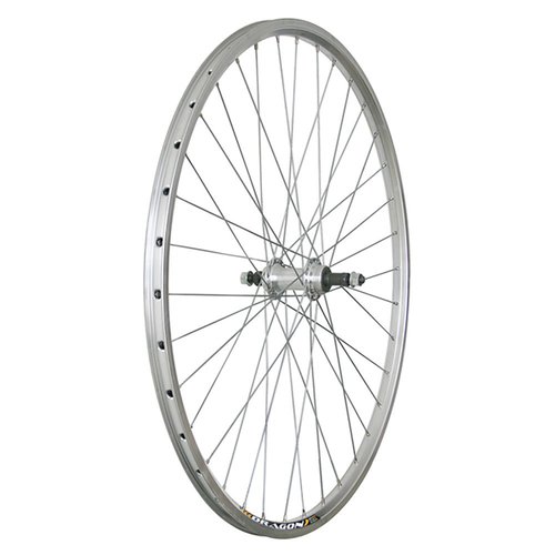 Dema 28 Gravel Rear Wheel Silber 8 x 135 mm  ShimanoSram HG