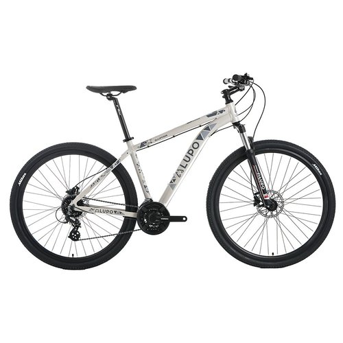 Lupo Raptor New Age 1 29 Mountainbike