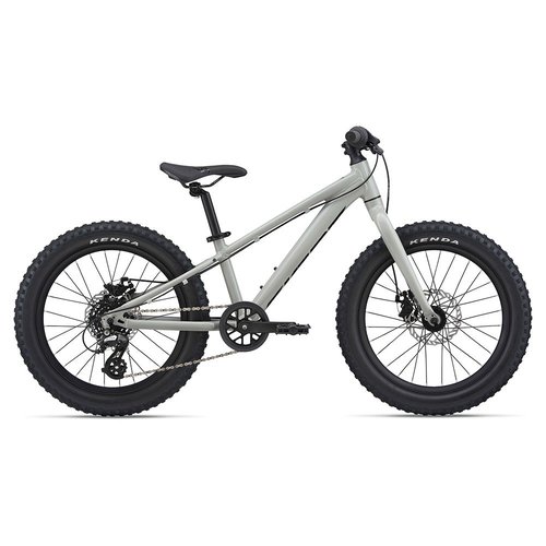 Giant Stp 20 Mountainbike