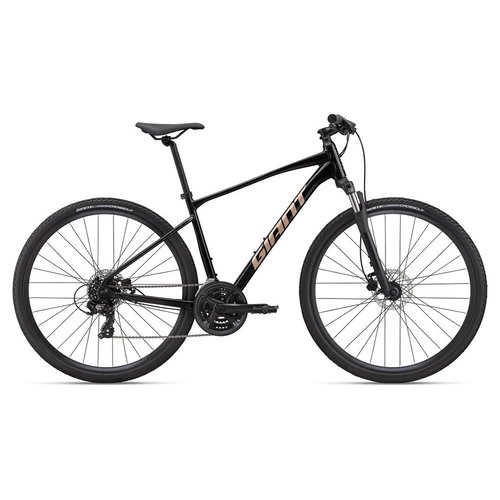 Giant Roam Disc 4 Tourney 2022 Gravelbike