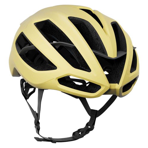 KASK Protone Icon Wg11 Helm