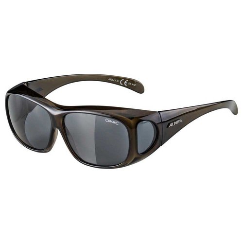 Alpina Snow Overview Sonnenbrille