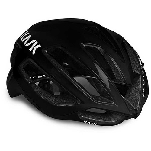 KASK Protone Icon Wg11 Helm