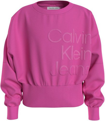 Calvin Klein Jeans Sweatshirt PUFF HERO LOGO CN SWEATSHIRT mit Logoschriftzug