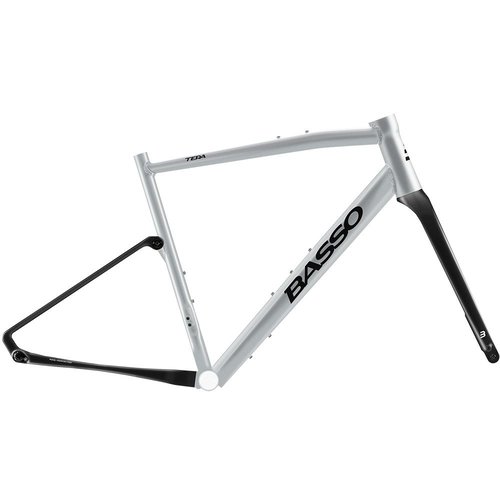 Basso Tera 2021 Gravel Frame Silber L