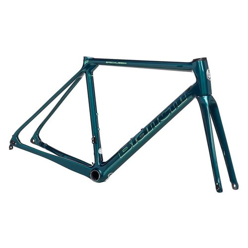 Bianchi Specialissima Cv Disc 2022 Road Frame Grün 57