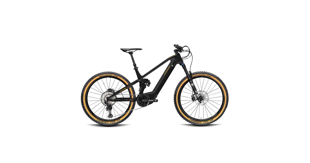 e bike conway fully