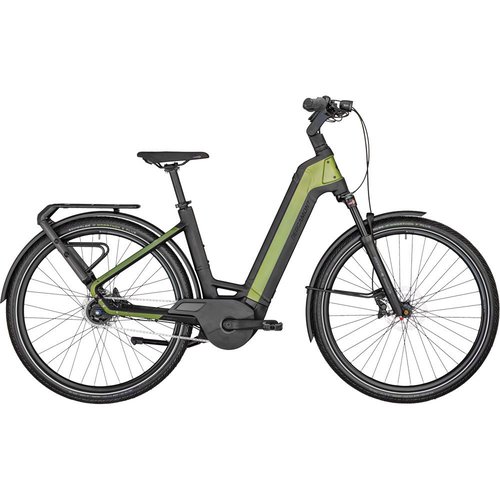 Bergamont E-Ville Expert E-Trekkingrad reed green