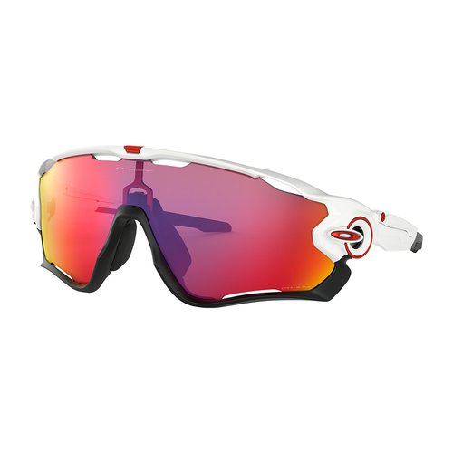 Oakley JAWBREAKER Sportbrille