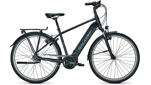 Raleigh Bristol LTD FL