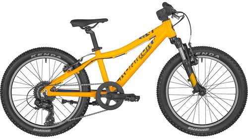 Bergamont Bergamonster 20 Boy
