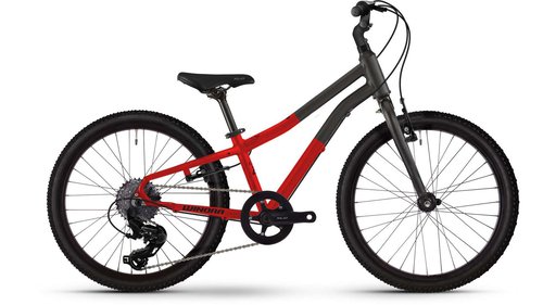 Winora Rage 20