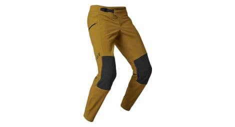 Fox defend fire hose braun