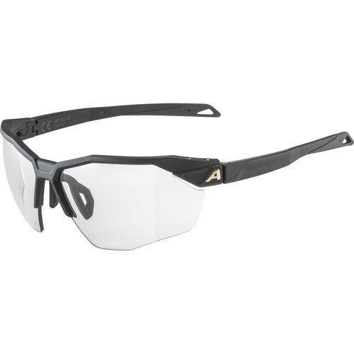 Alpina Twist Six HR V Sonnenbrille black matt