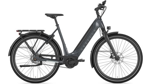 Gazelle Ultimate C5 HMB Belt