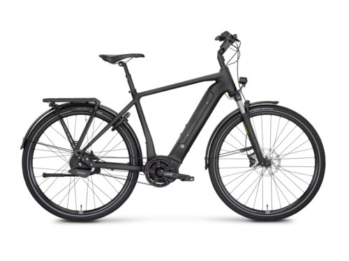 Rose Bikes Xtra Watt Evo Plus 3