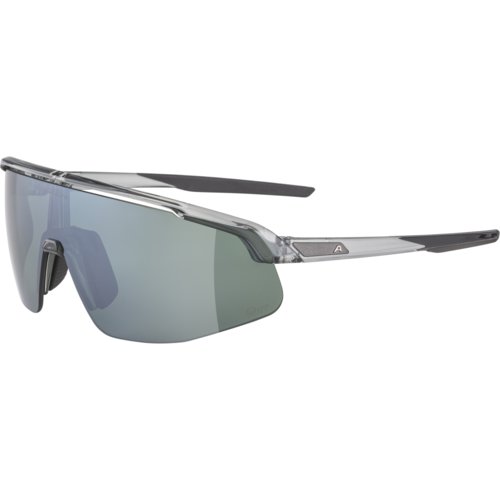 Alpina TURBO PRO Q LITE Sportbrille