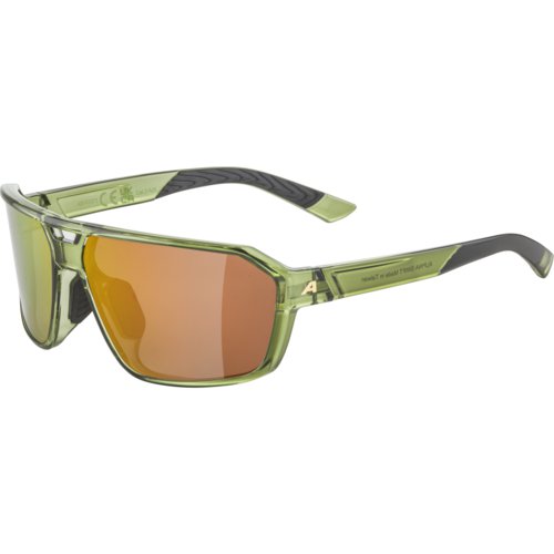 Alpina SWIFT Sportbrille