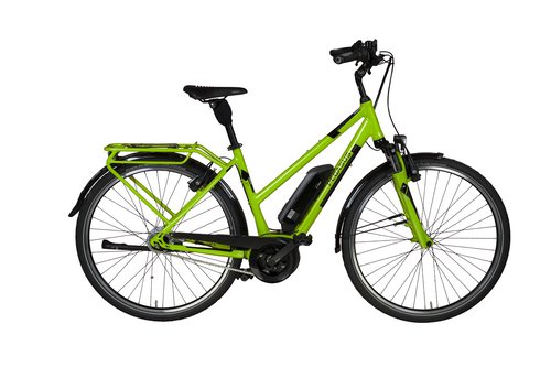 Pegasus Solero E8R Plus ltd. 500 Wh Damen Trapez grün 2019 58cm