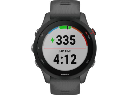 Garmin FORERUNNER 255, Smartwatch, 22 mm, Slate Grey