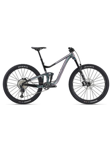 Giant Mountainbike 29 Trance X 1 silber | L
