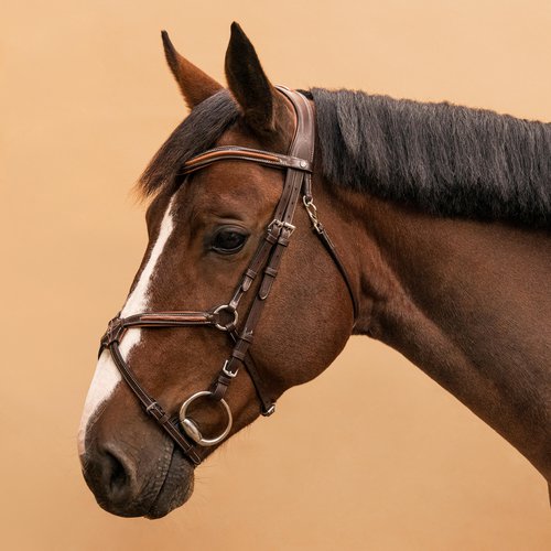 Fouganza Trense 580 mexikanisches Reithalfter Ziernähte Pony/Pferd braun