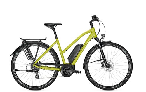 Kalkhoff Endeavour 1.B Move 400 Wh Damen Trapez grün 2021 55cm