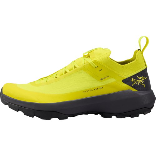 Arcteryx Herren Vertex Alpine GTX Schuhe