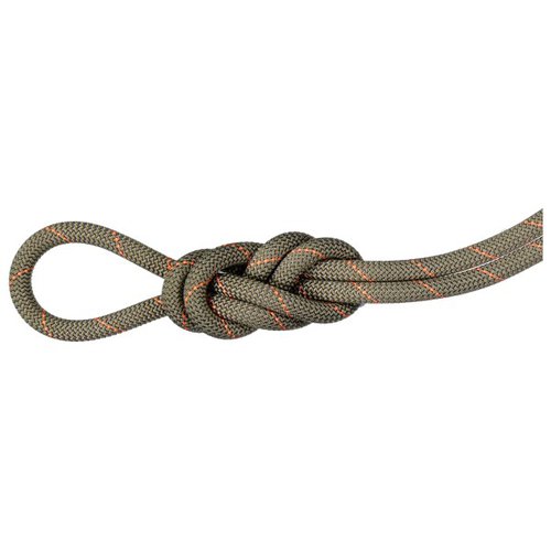 Mammut 9.9 Gym Workhorse Dry Rope