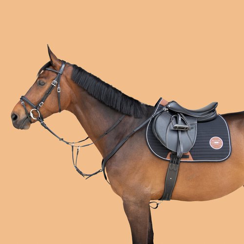 Fouganza Vorderzeug 3-Punkt Pferd/Pony - schwarz