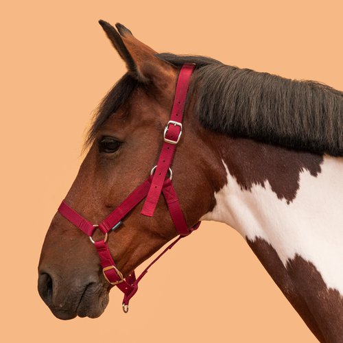 Fouganza Halfter Pferd/Pony - Schooling rot