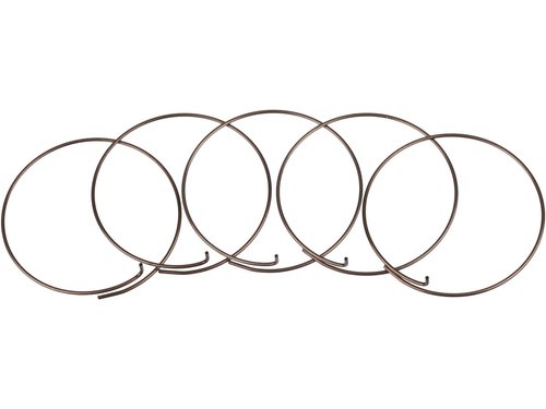 Fulcrum Sperrklinkenfedern 5-RM0-005 für MTB Freilaufkörper