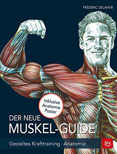 Blv Buchverlag Der neue Muskel Guide: Gezieltes Krafttraining · Anatomie · Mit Poster