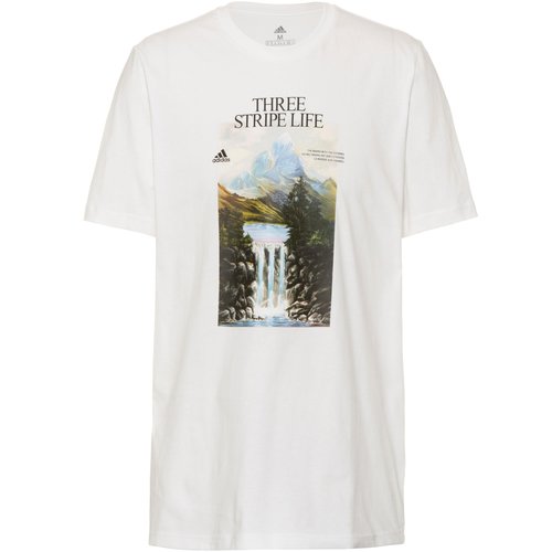 Adidas Mountain Graphic T-Shirt Herren